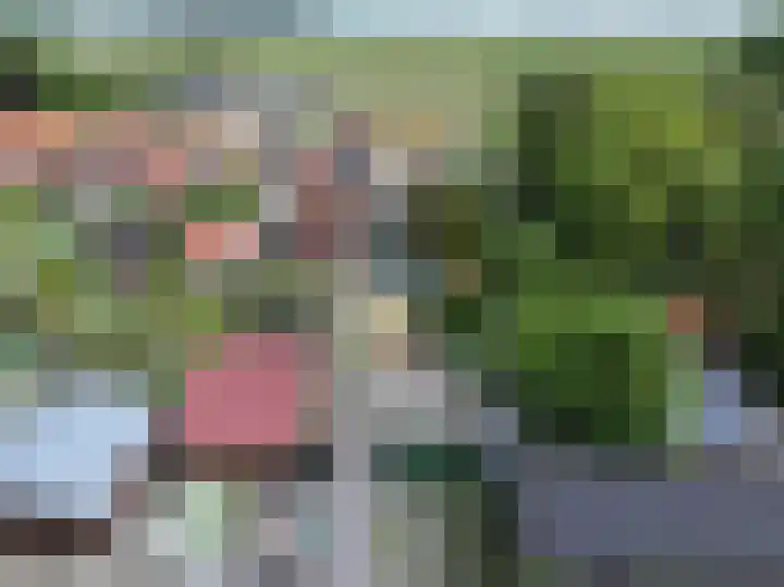 Willemsweg 73 Schoondijke thumbnail 24