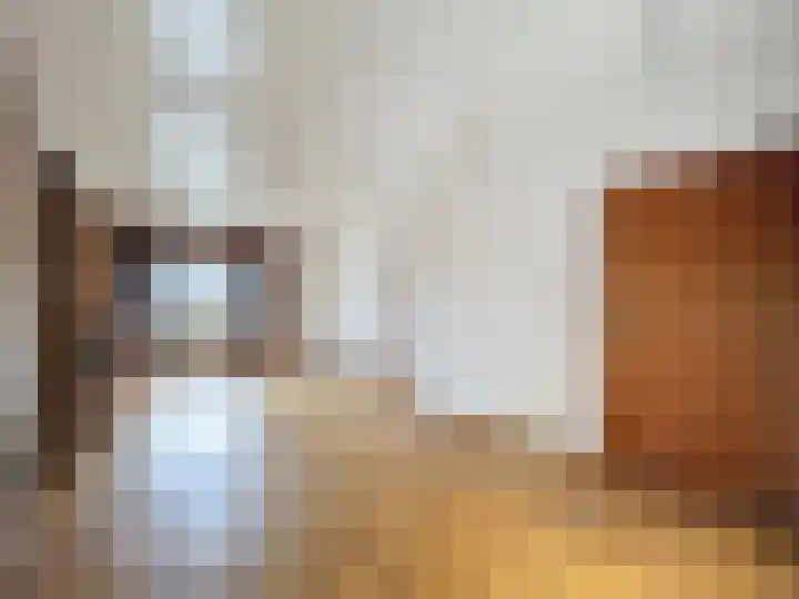 Willemsweg 73 Schoondijke thumbnail 4