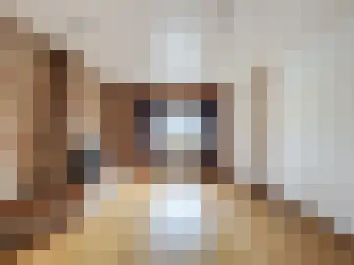 Willemsweg 73 Schoondijke thumbnail 5