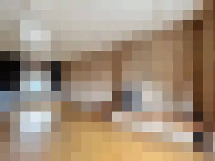 Willemsweg 73 Schoondijke thumbnail 6