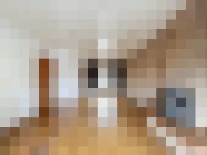 Willemsweg 73 Schoondijke thumbnail 7