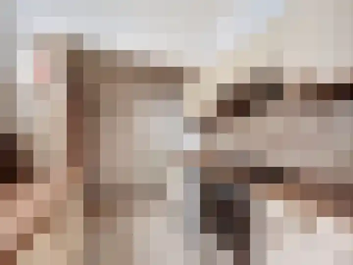 Willemsweg 73 Schoondijke thumbnail 8