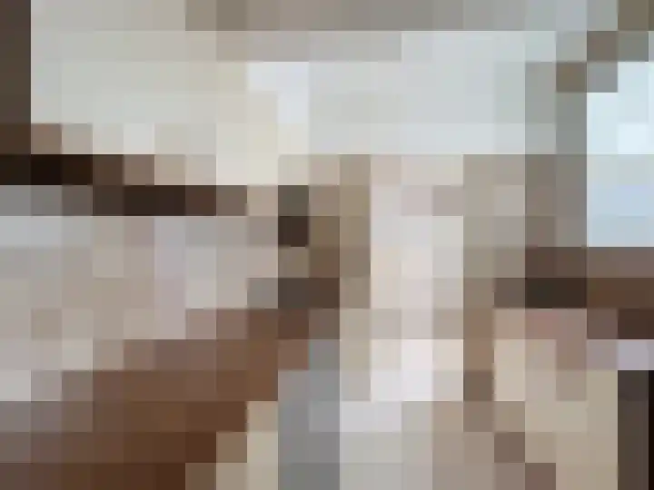 Willemsweg 73 Schoondijke thumbnail 9