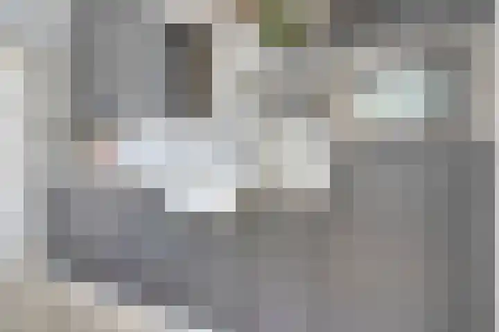 Willemsweg 75 Schoondijke thumbnail 11
