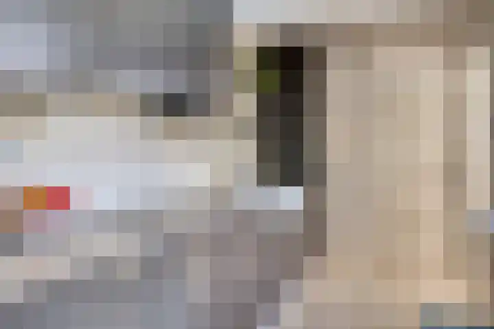 Willemsweg 75 Schoondijke thumbnail 15