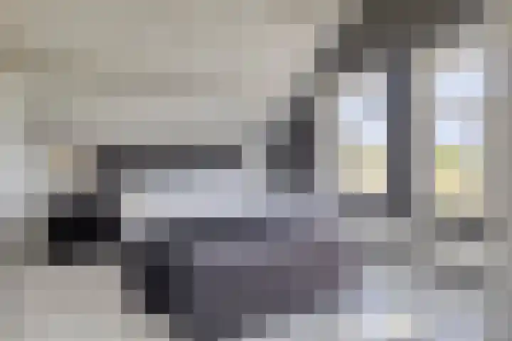 Willemsweg 75 Schoondijke thumbnail 17