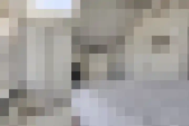 Willemsweg 75 Schoondijke thumbnail 18