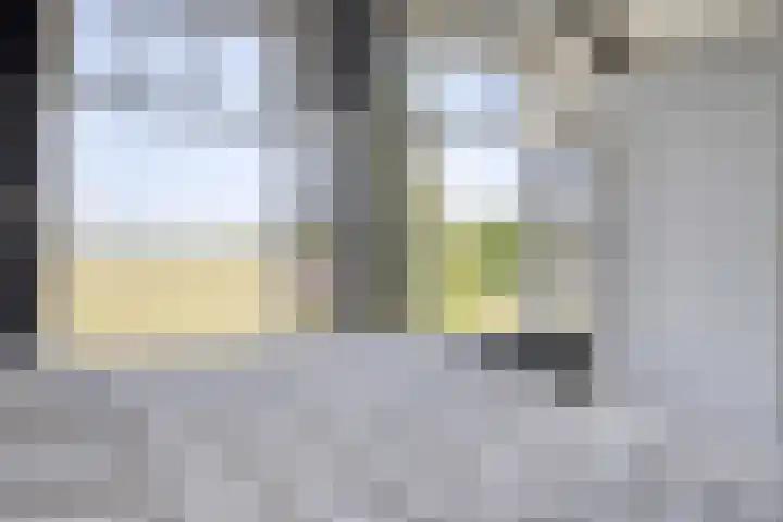 Willemsweg 75 Schoondijke thumbnail 19