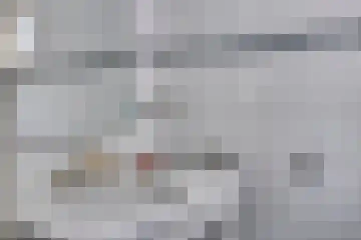 Willemsweg 75 Schoondijke thumbnail 22