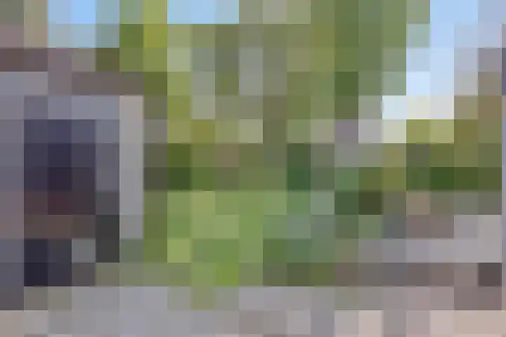 Willemsweg 75 Schoondijke thumbnail 24