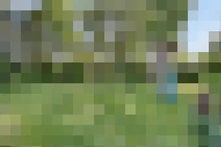 Willemsweg 75 Schoondijke thumbnail 25