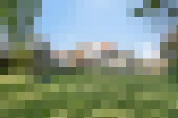 Willemsweg 75 Schoondijke thumbnail 26