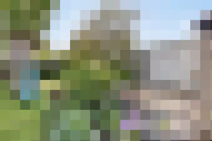 Willemsweg 75 Schoondijke thumbnail 28
