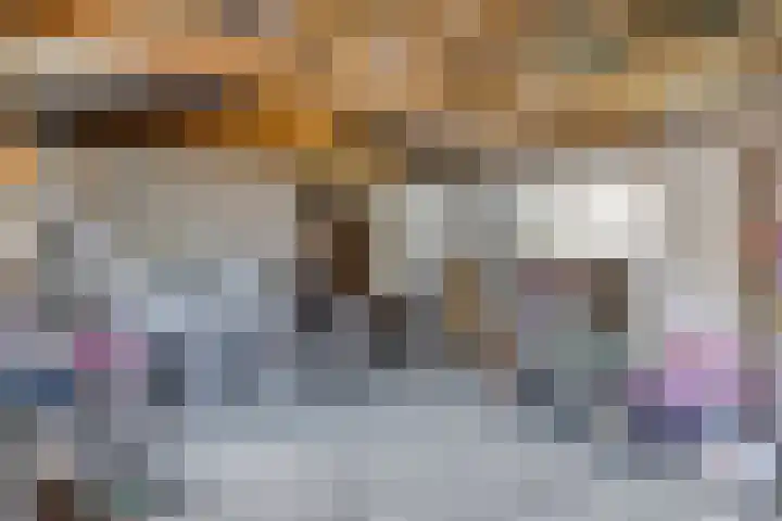 Willemsweg 75 Schoondijke thumbnail 29