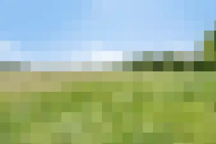 Willemsweg 75 Schoondijke thumbnail 31