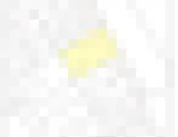 Willemsweg 75 Schoondijke thumbnail 35