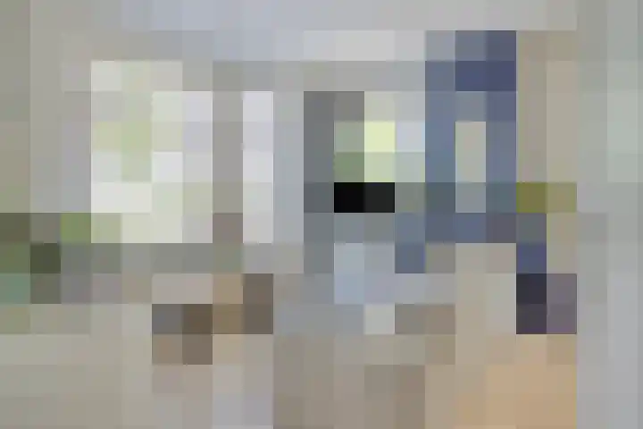 Willemsweg 75 Schoondijke thumbnail 6