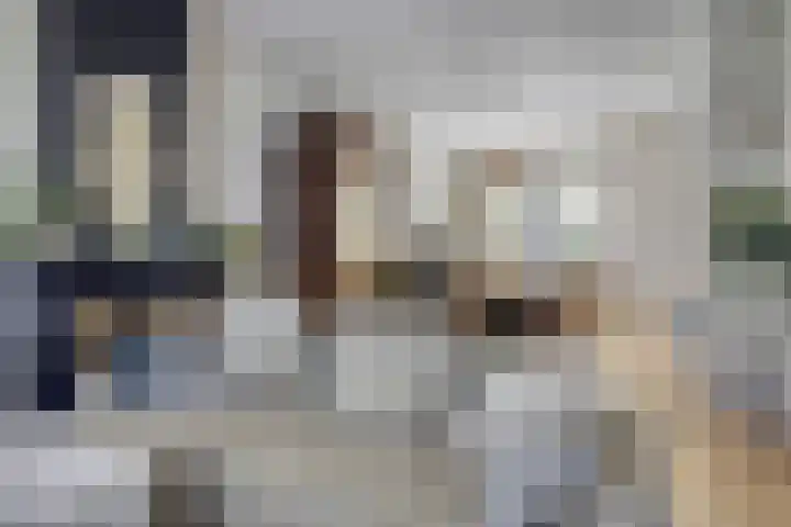 Willemsweg 75 Schoondijke thumbnail 7