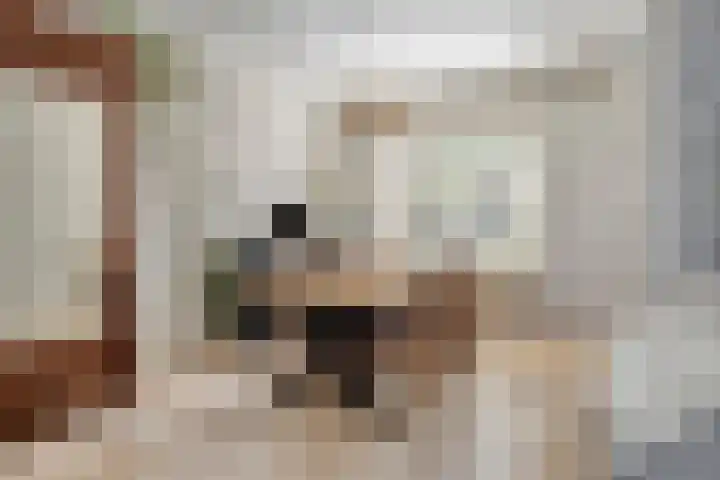 Willemsweg 75 Schoondijke thumbnail 8