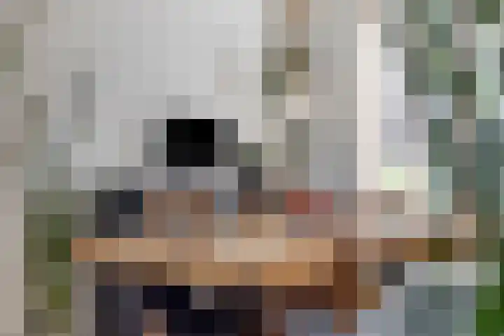 Willemsweg 75 Schoondijke thumbnail 9