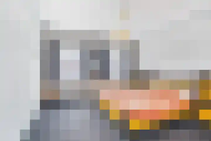 Willemsweg 9 Schoondijke thumbnail 10