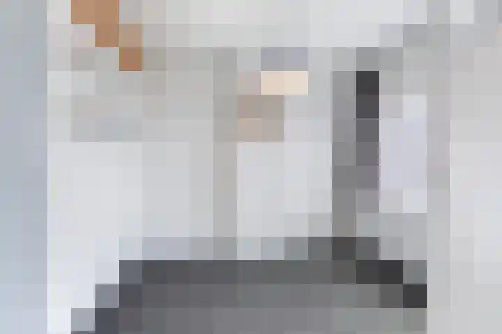 Willemsweg 9 Schoondijke thumbnail 11