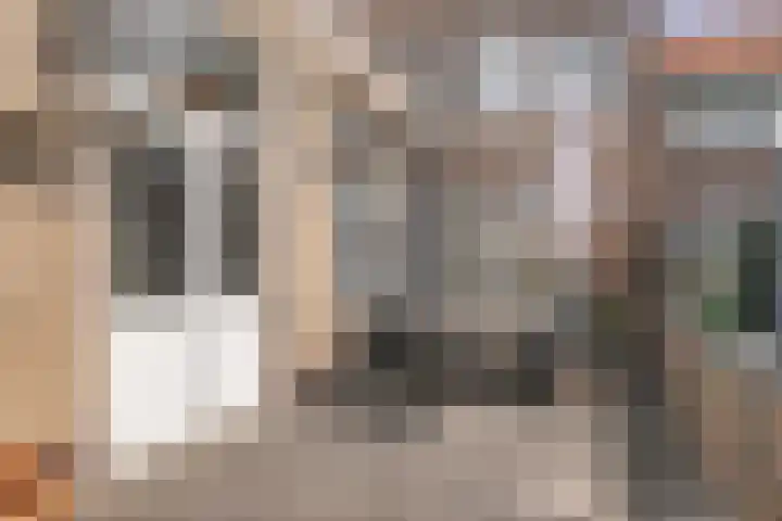 Willemsweg 9 Schoondijke thumbnail 14