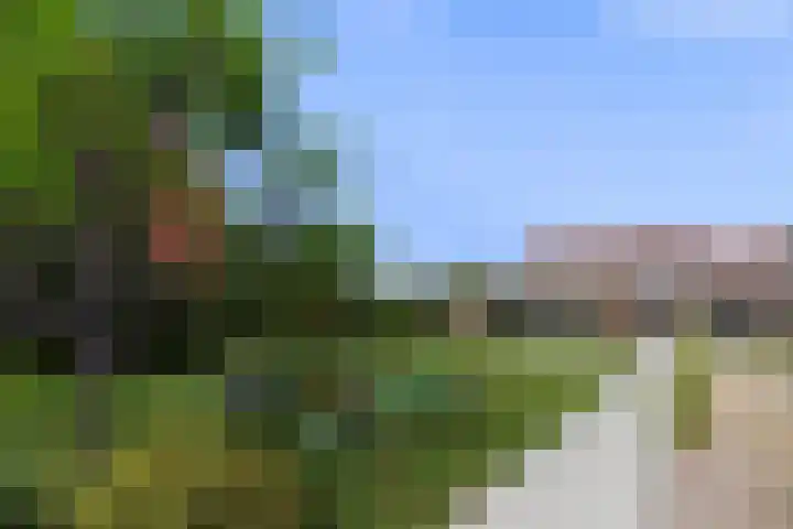Willemsweg 9 Schoondijke thumbnail 15