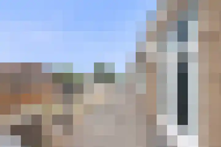 Willemsweg 9 Schoondijke thumbnail 22