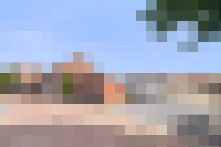Willemsweg 9 Schoondijke thumbnail 23