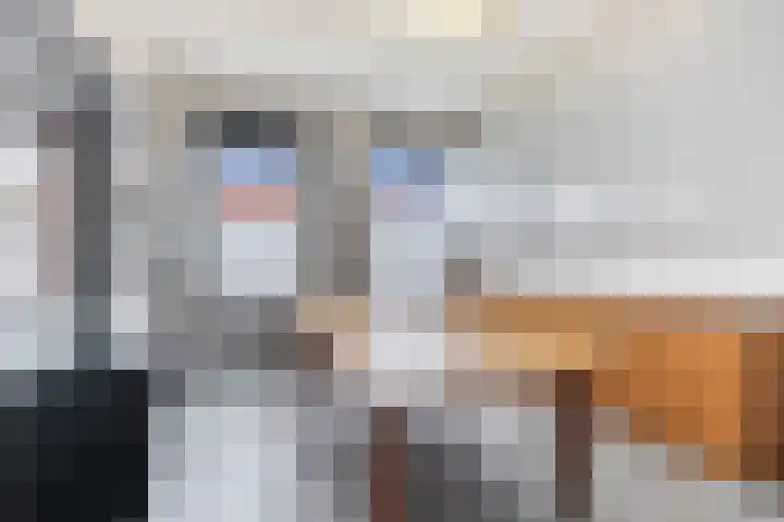 Willemsweg 9 Schoondijke thumbnail 8