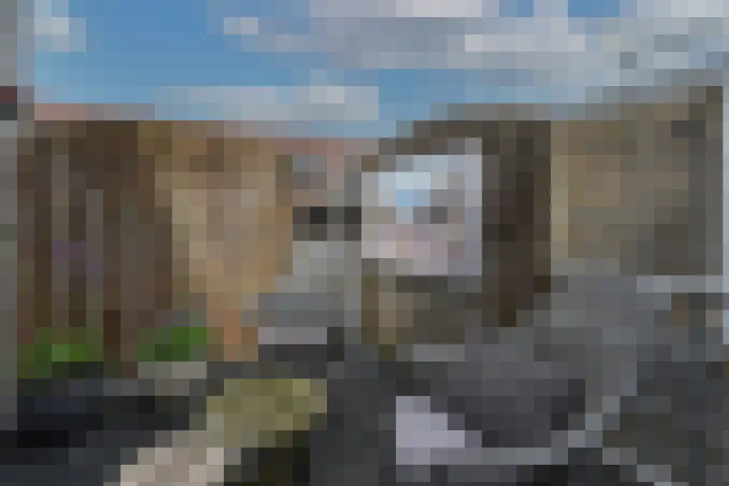Willemsweg 96 Nijmegen thumbnail 24