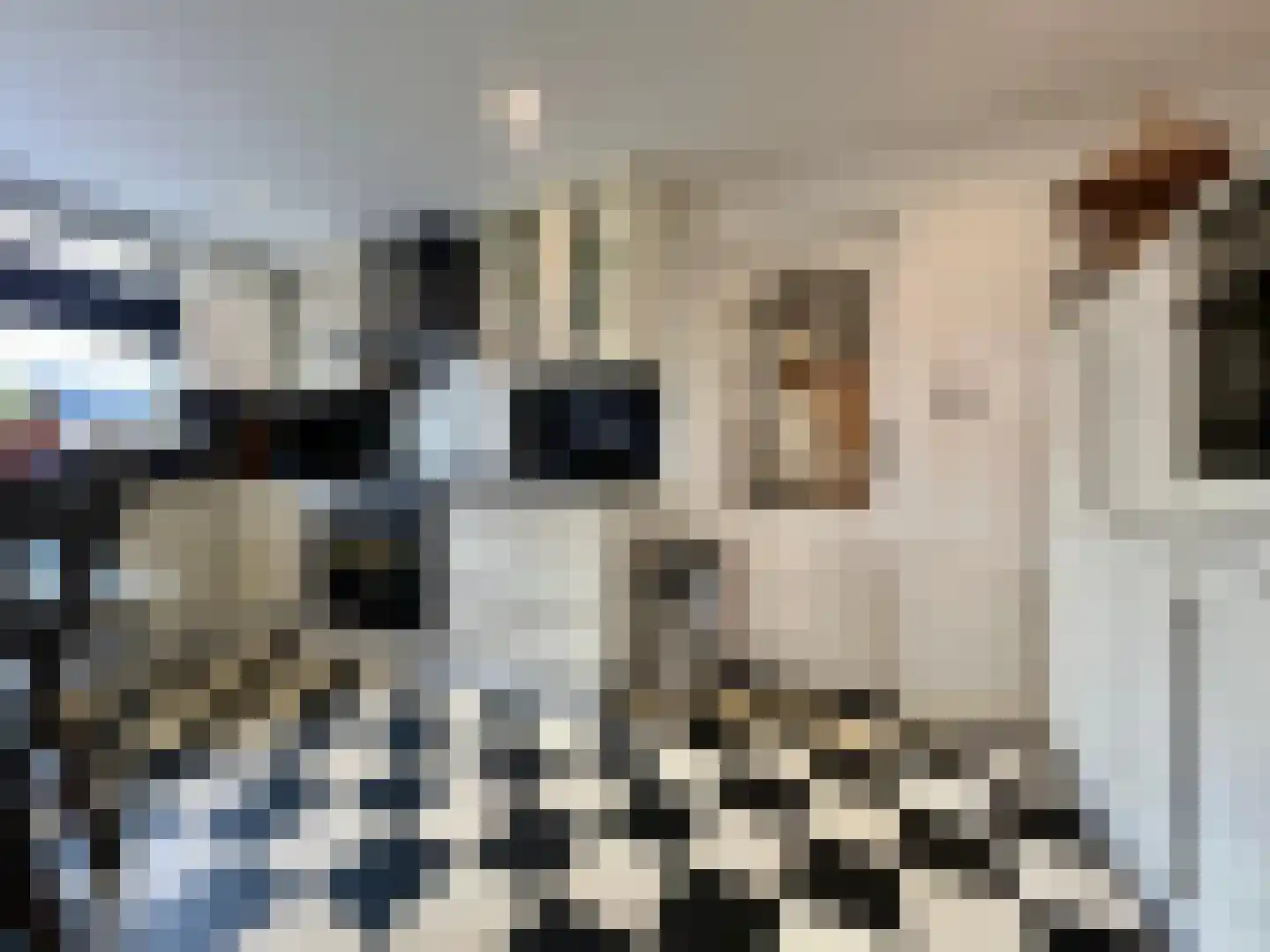 Willeskop 124 Montfoort thumbnail 16