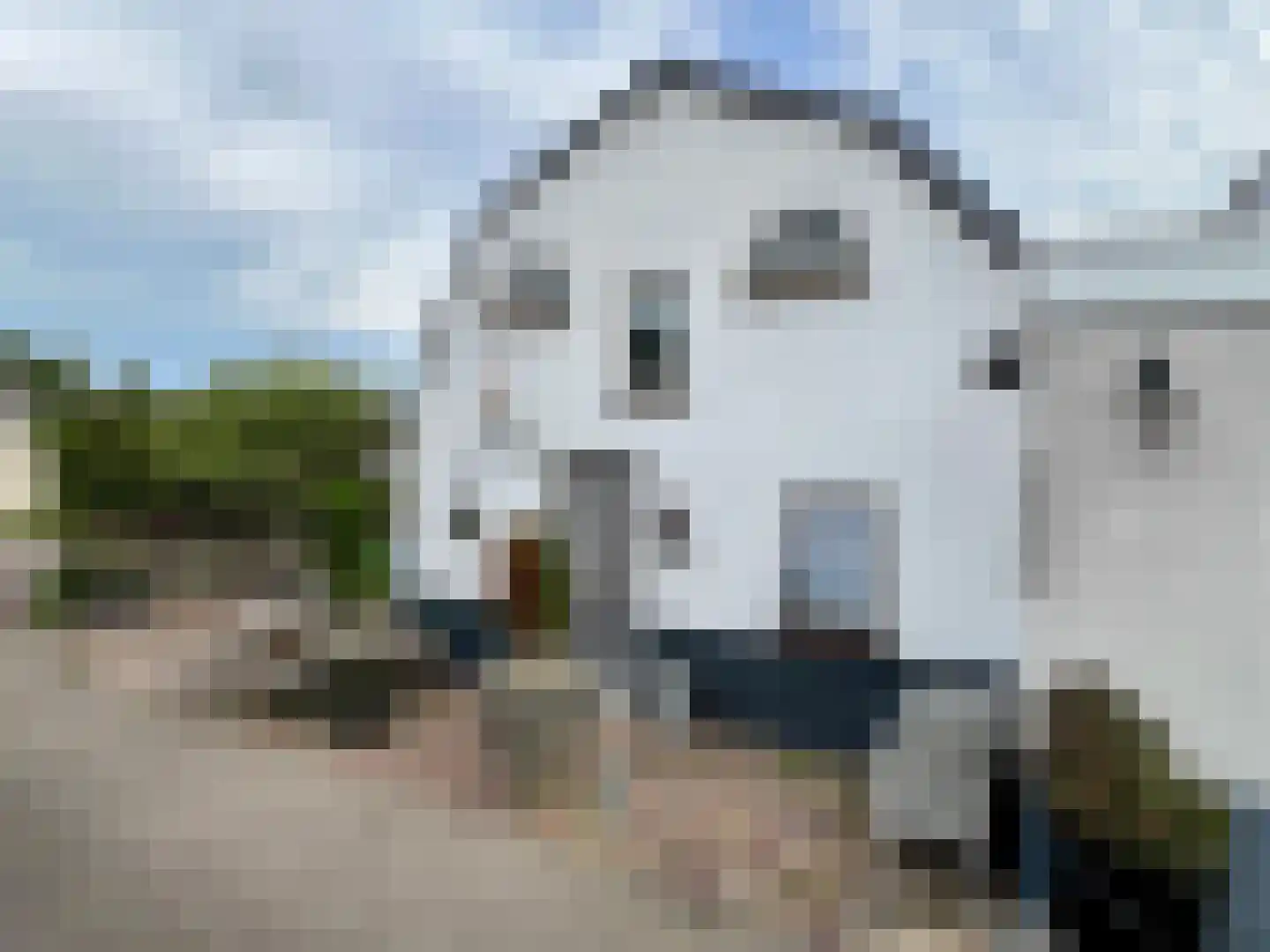 Willeskop 124 Montfoort thumbnail 30
