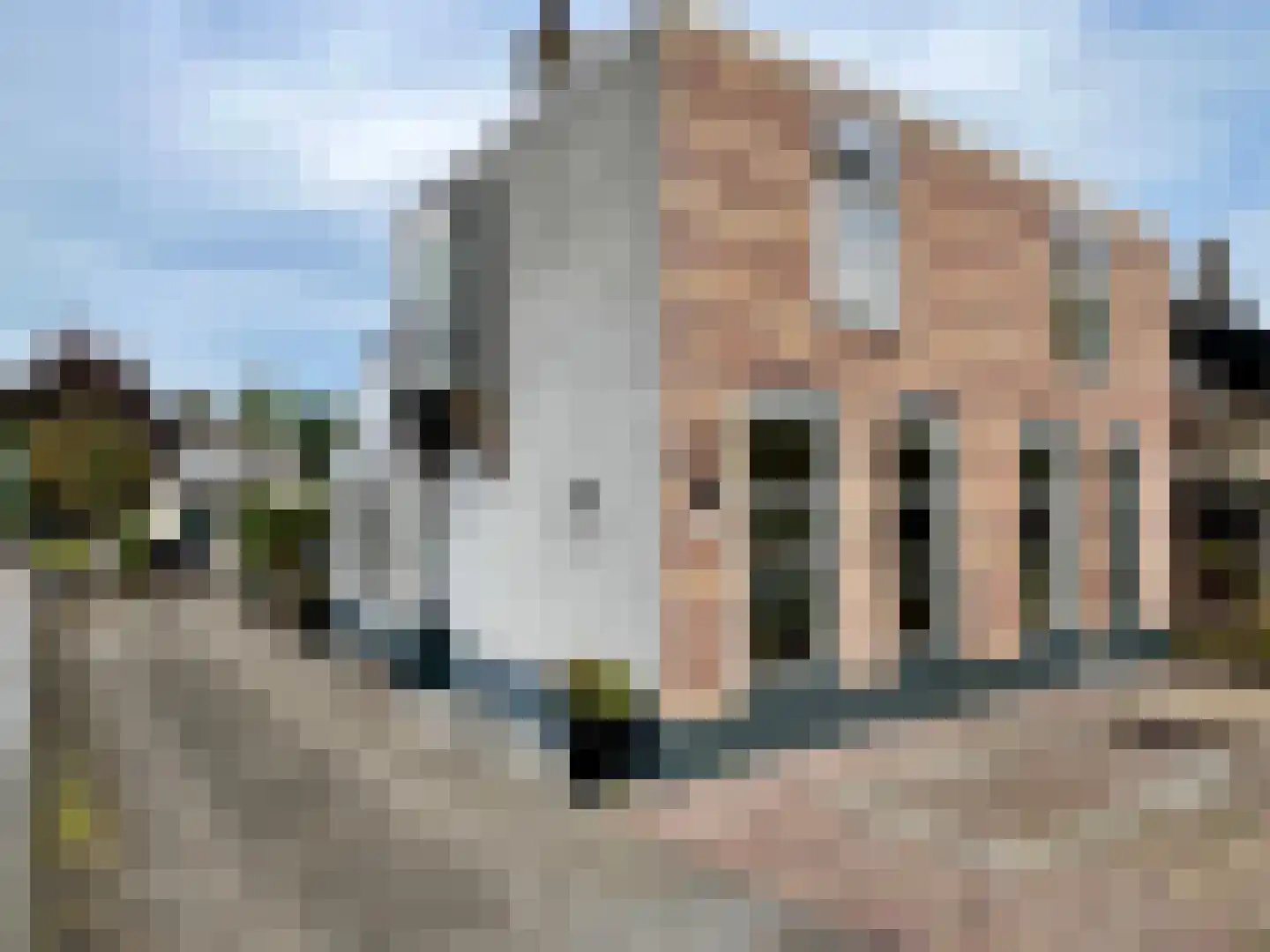 Willeskop 124 Montfoort thumbnail 31