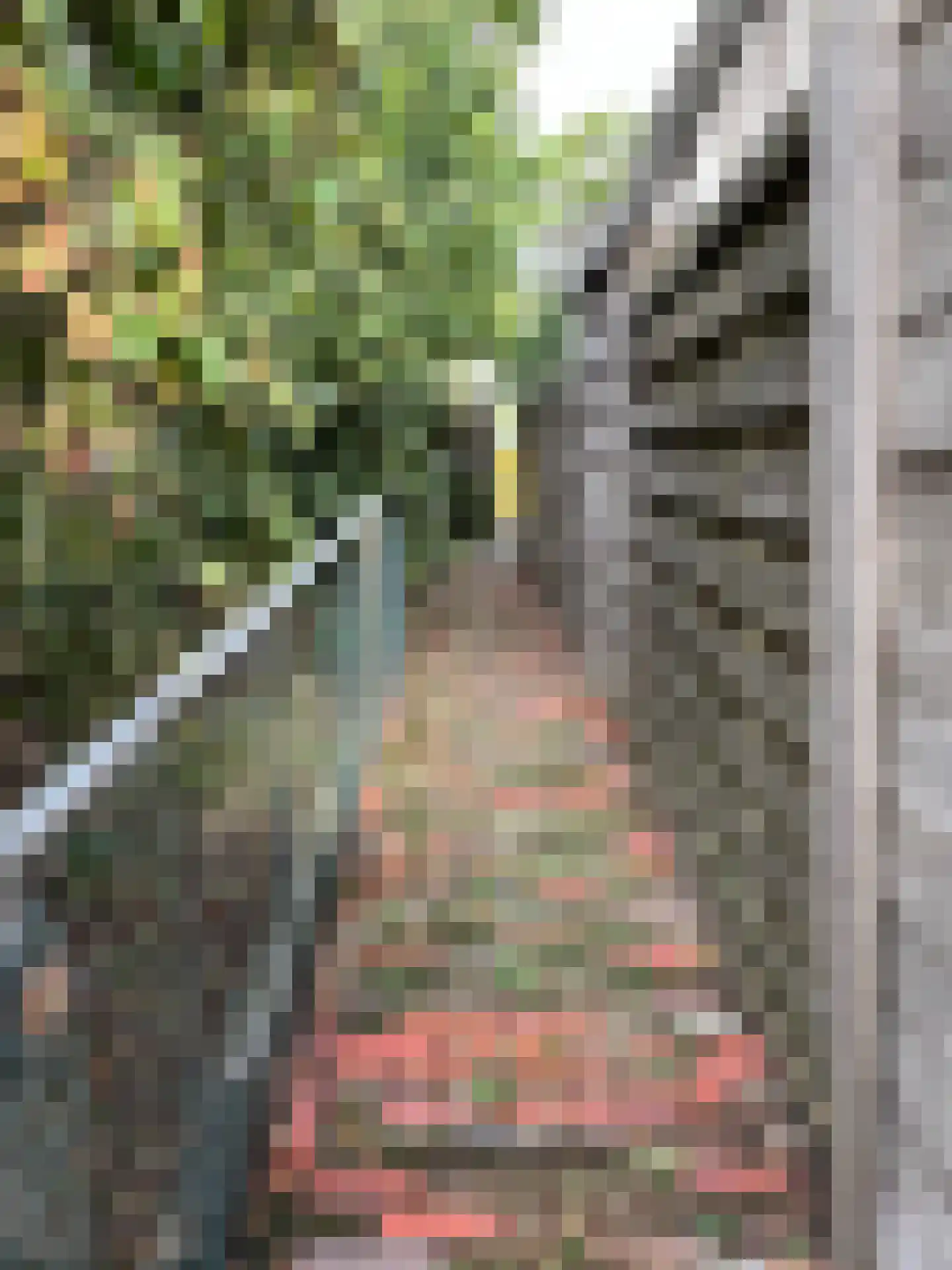 Willeskop 124 Montfoort thumbnail 33