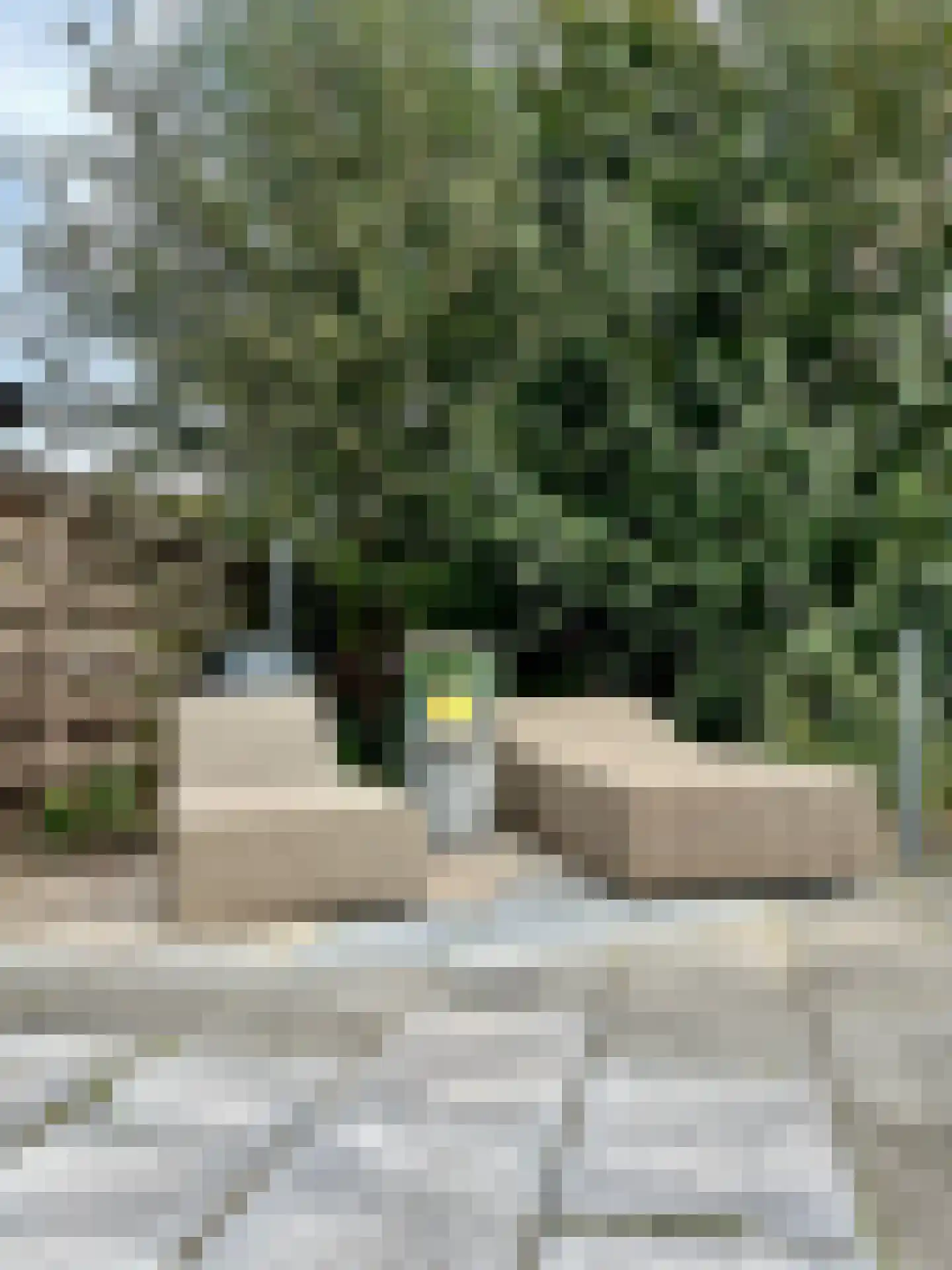 Willeskop 124 Montfoort thumbnail 36
