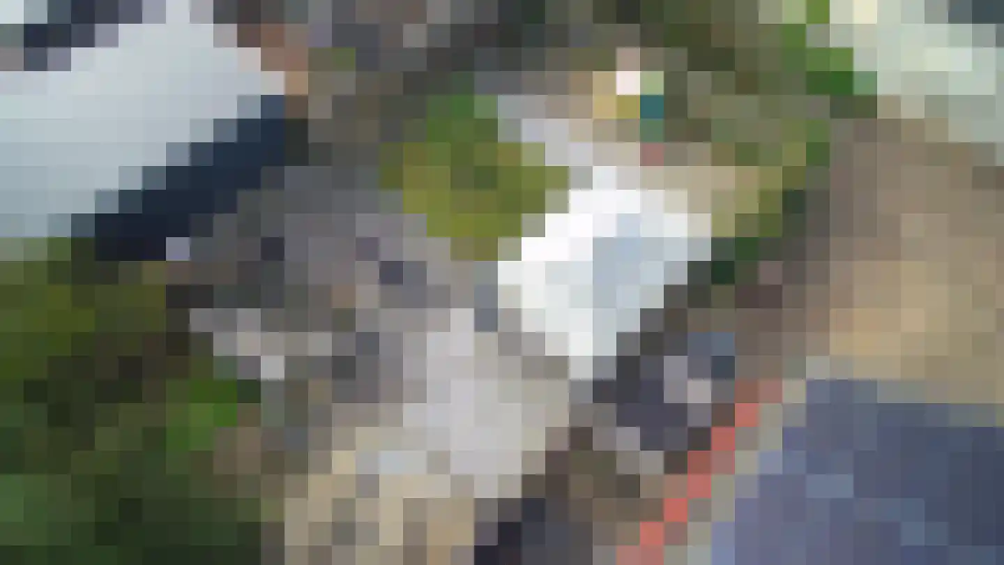 Willeskop 124 Montfoort thumbnail 37