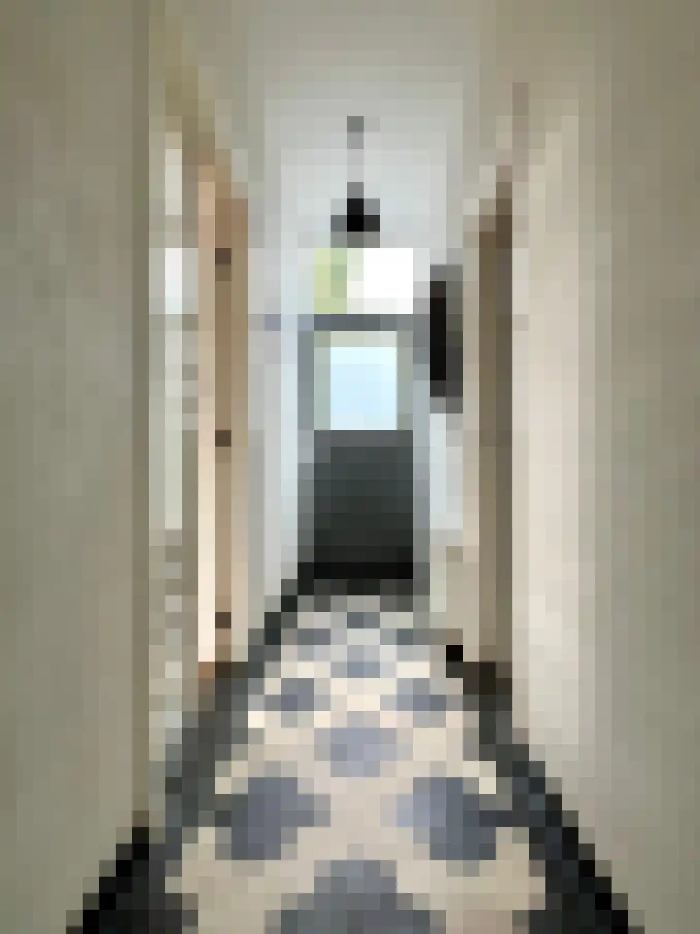 Willeskop 124 Montfoort thumbnail 7