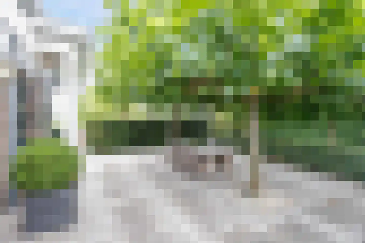 Willeskop 131 A Oudewater thumbnail 30
