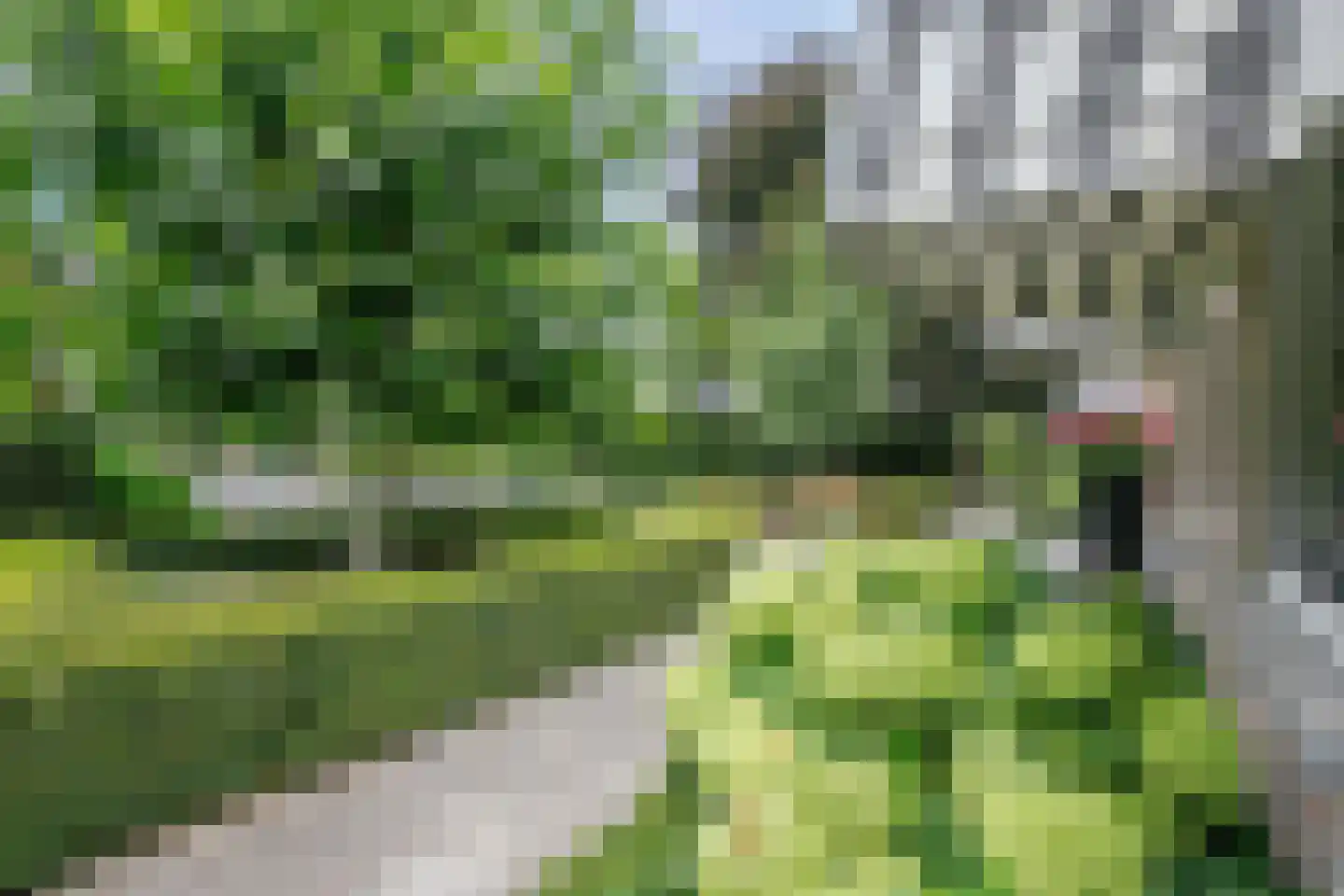 Willeskop 131 A Oudewater thumbnail 31