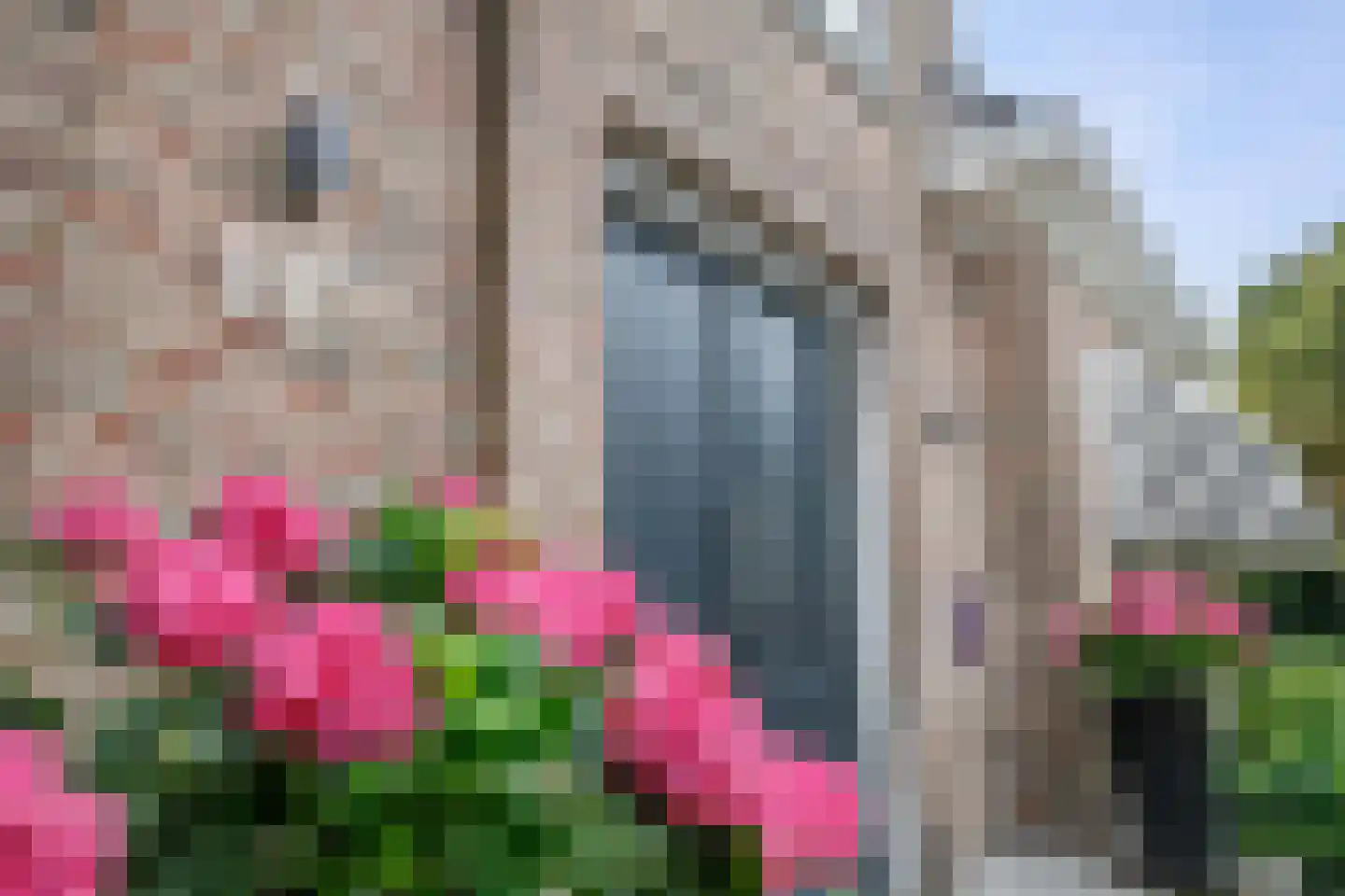 Willeskop 131 A Oudewater thumbnail 4