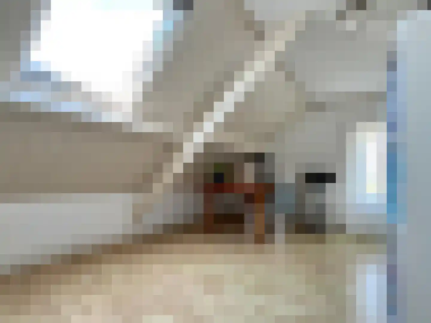 Willeskop 51 Montfoort thumbnail 45