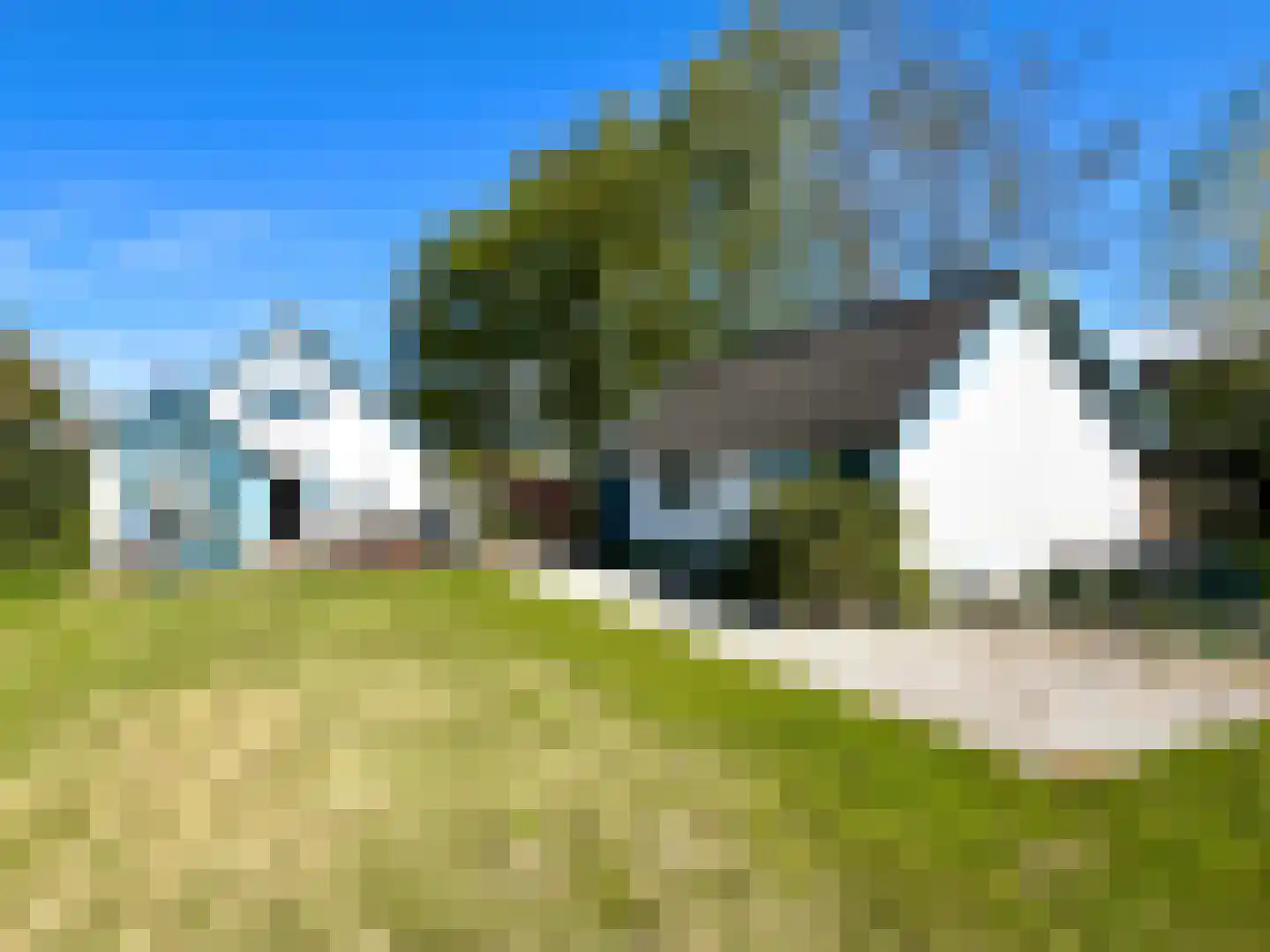 Willeskop 51 Montfoort thumbnail 63