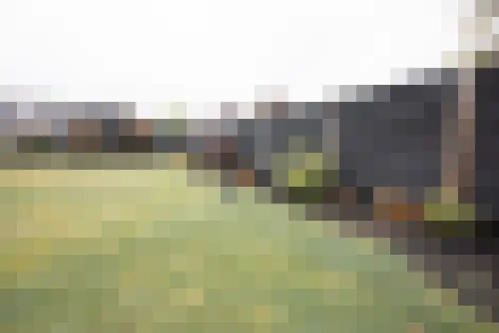 Willeskop 62 a Montfoort thumbnail 39