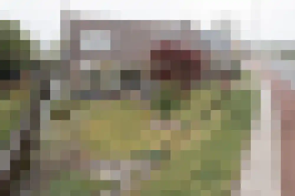 Willeskop 62 a Montfoort thumbnail 41