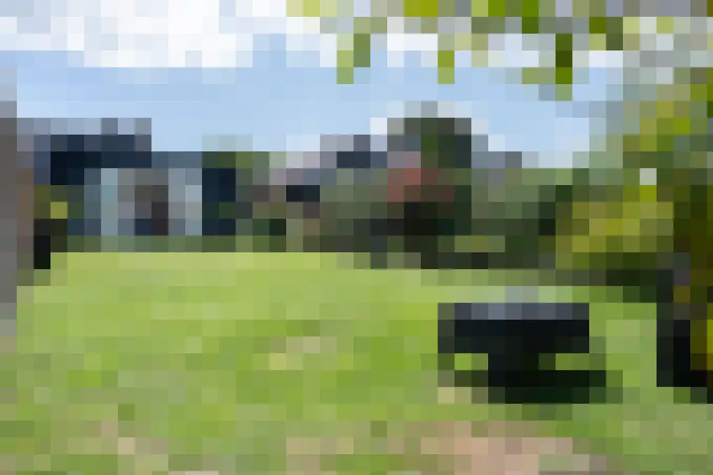 Willeskop 62 a Montfoort thumbnail 7