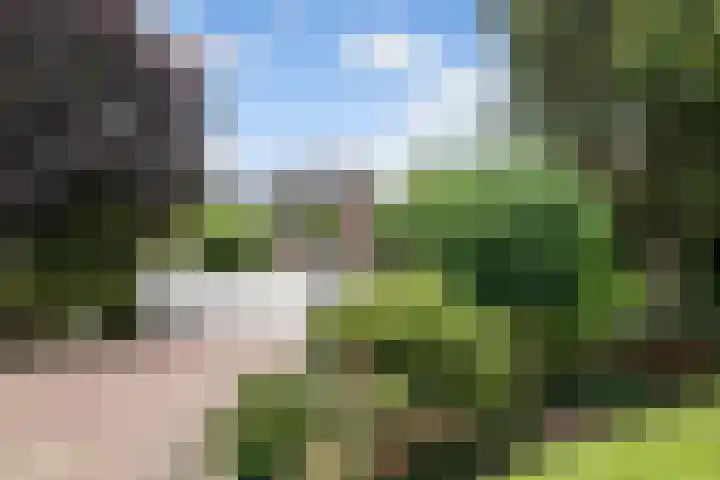 Willeskop 73 A Montfoort thumbnail 4