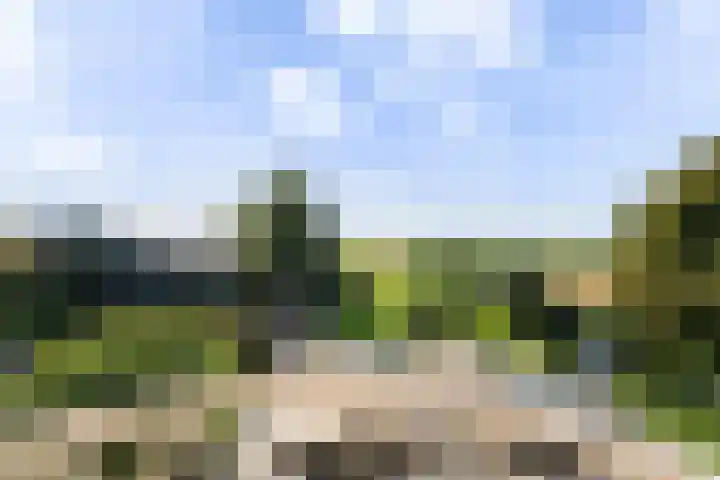 Willeskop 73 A Montfoort thumbnail 46