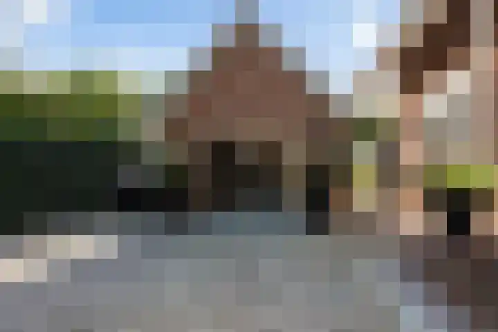 Willeskop 73 A Montfoort thumbnail 47